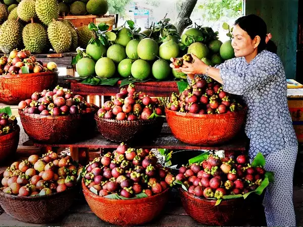 Kinh doanh trái cây vườn