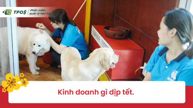 Kinh doanh gì dịp Tết