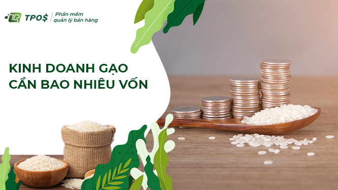 kinh doanh gạo cần bao nhiêu vốn